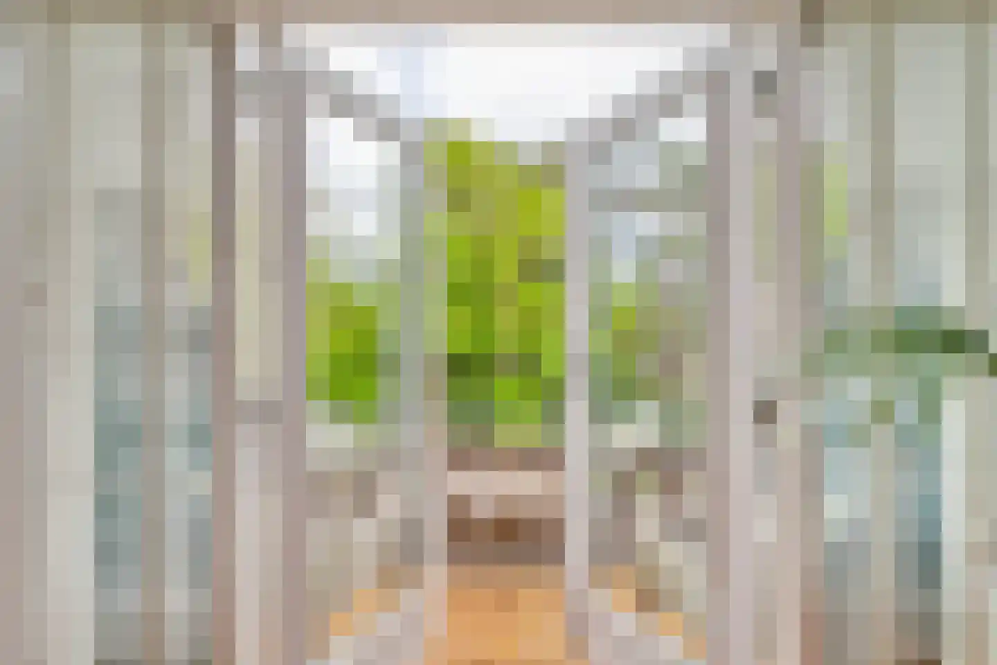 Schouwweg 8 Wassenaar thumbnail 31