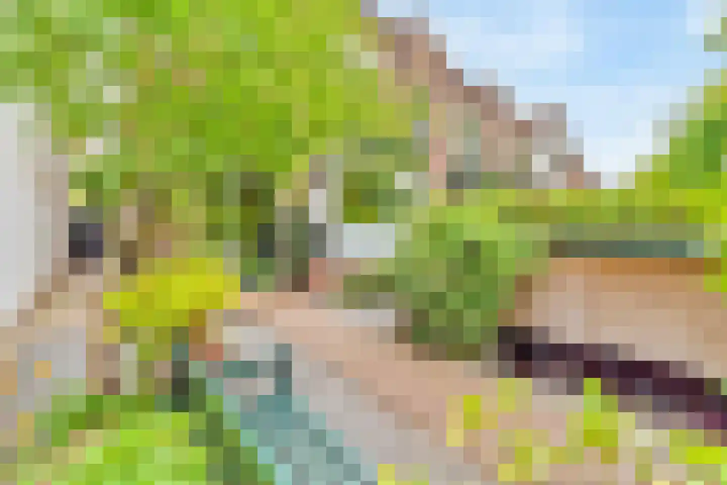 Schouwweg 8 Wassenaar thumbnail 35