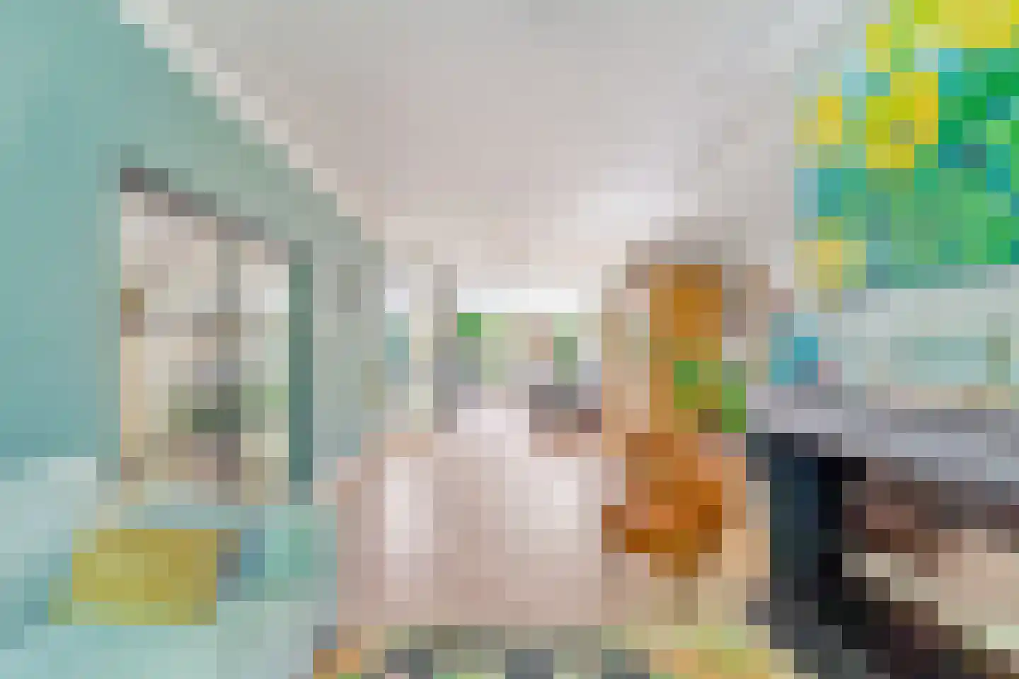 Schouwweg 8 Wassenaar thumbnail 7