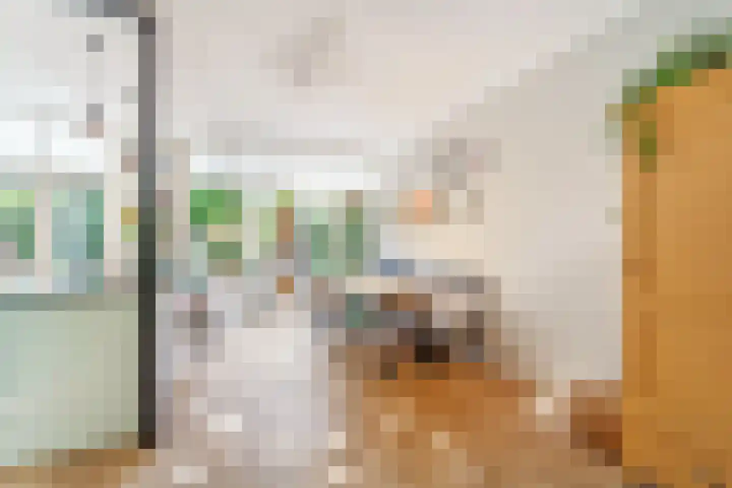 Schouwweg 8 Wassenaar thumbnail 8