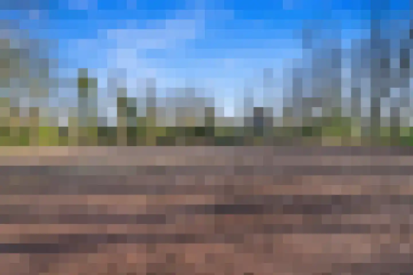 Schouwweg 85 Wassenaar thumbnail 10