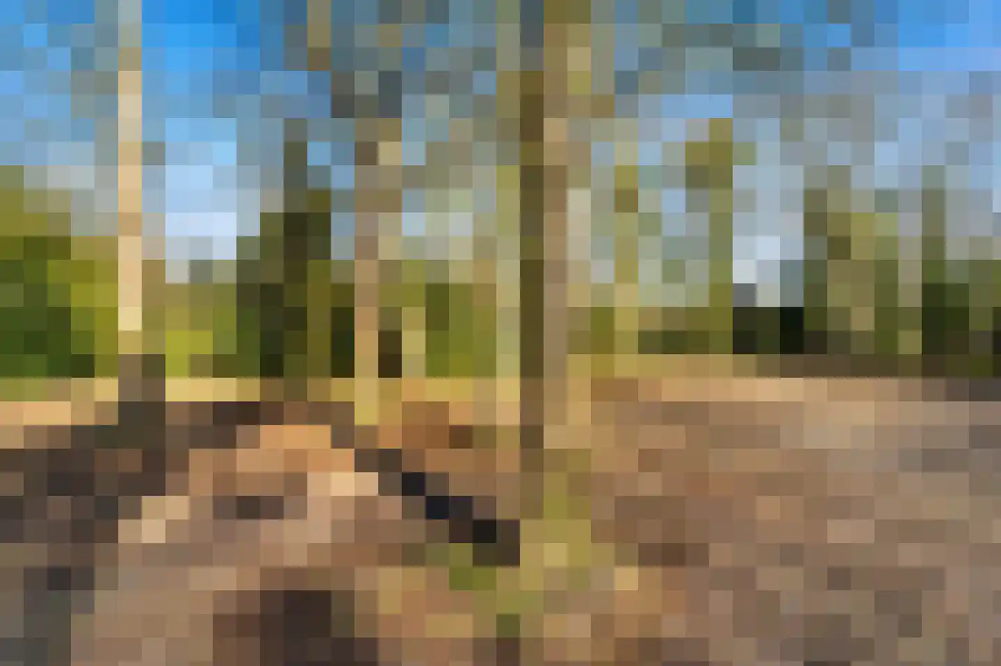 Schouwweg 85 Wassenaar thumbnail 11