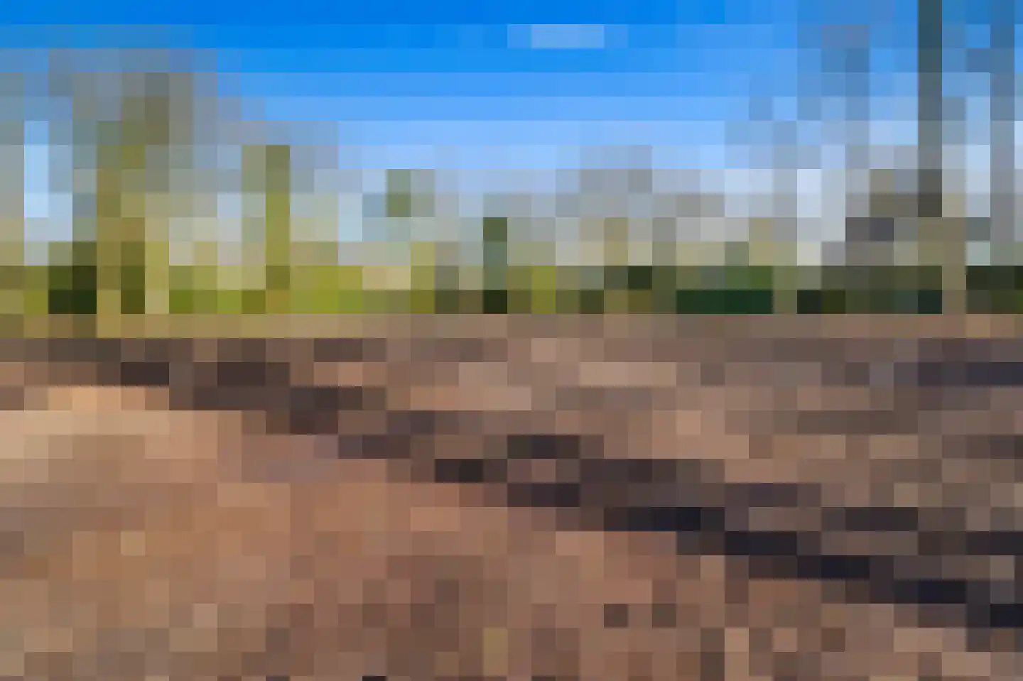 Schouwweg 85 Wassenaar thumbnail 12