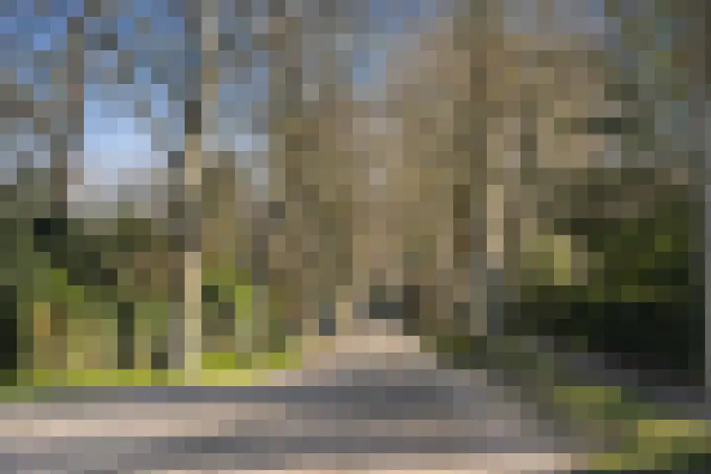Schouwweg 85 Wassenaar thumbnail 13