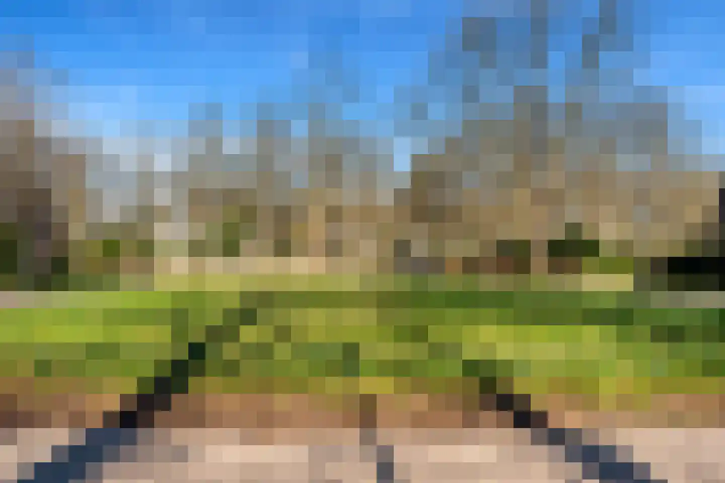 Schouwweg 85 Wassenaar thumbnail 16