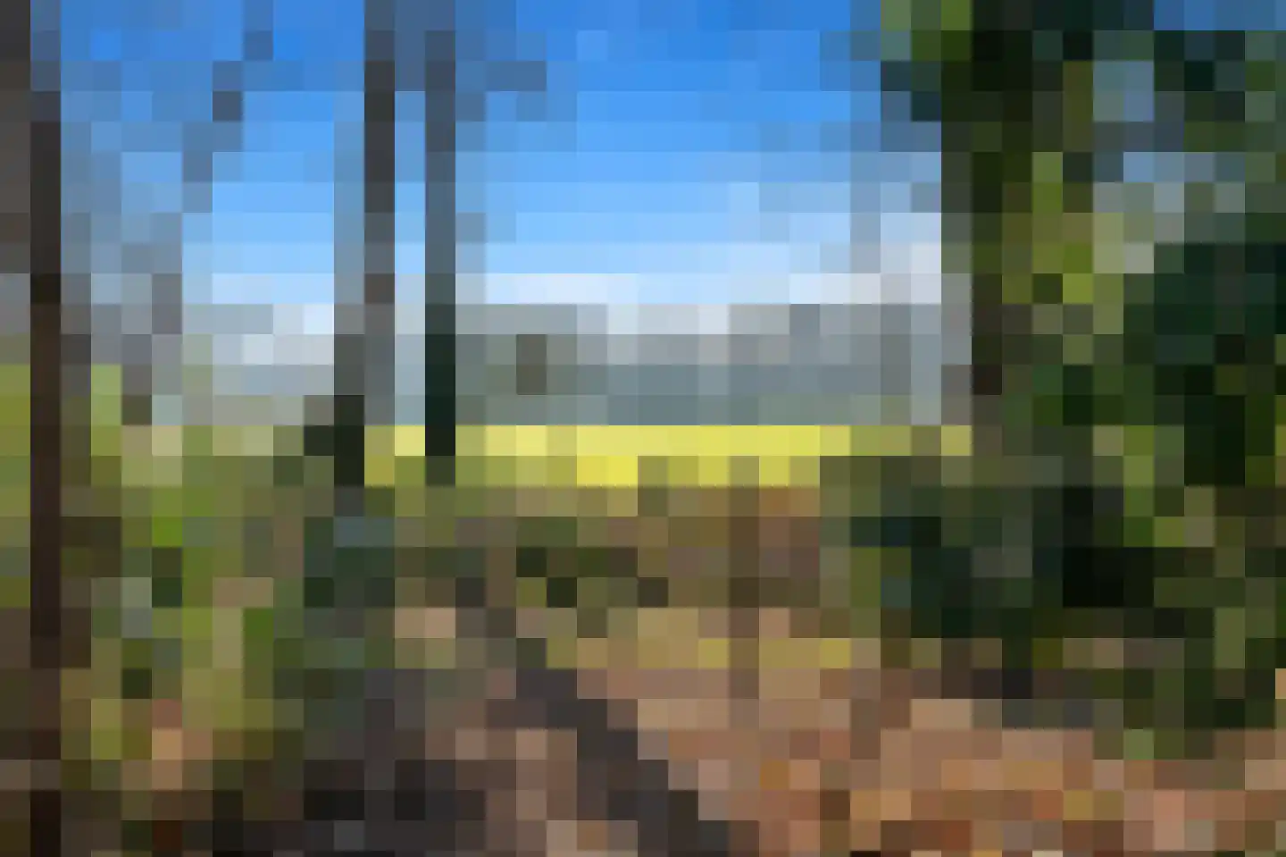 Schouwweg 85 Wassenaar thumbnail 18