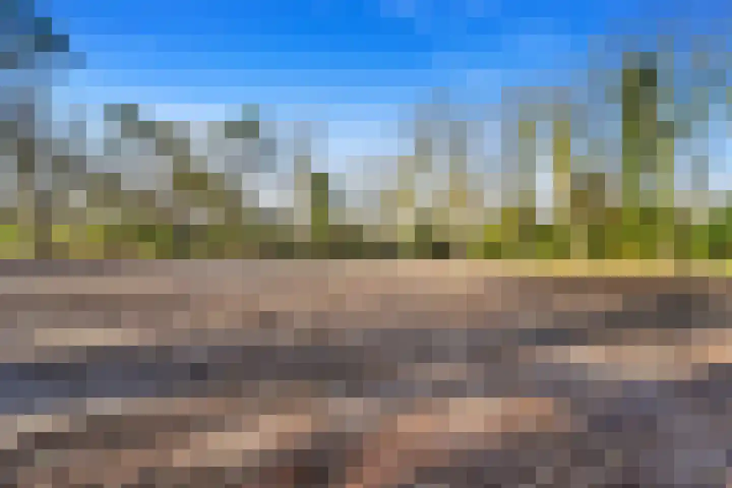 Schouwweg 85 Wassenaar thumbnail 5
