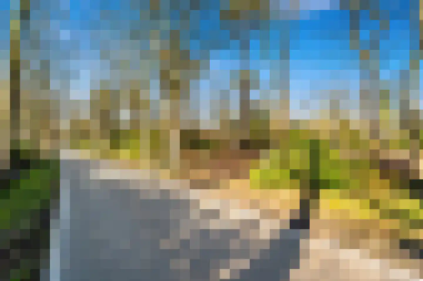 Schouwweg 85 Wassenaar thumbnail 8