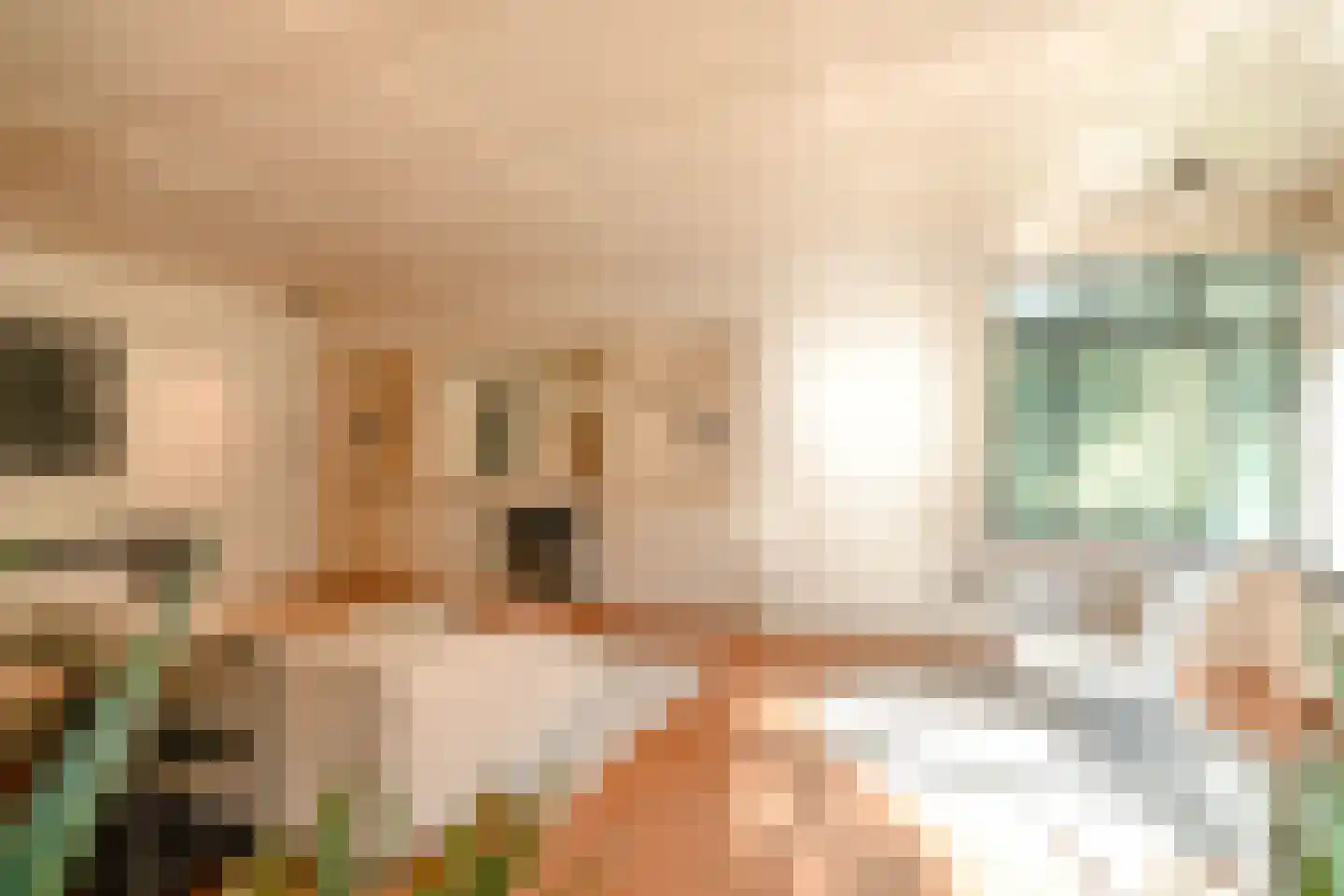 Schouwweg 86 Wassenaar thumbnail 10