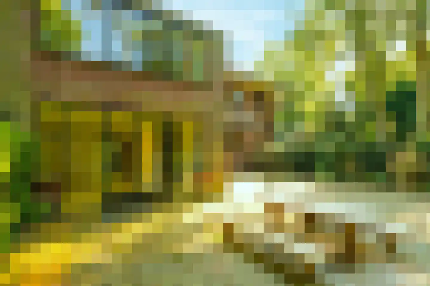 Schouwweg 86 Wassenaar thumbnail 19