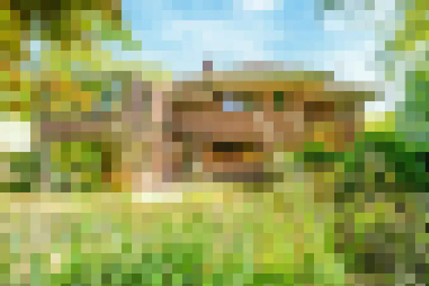 Schouwweg 86 Wassenaar thumbnail 20