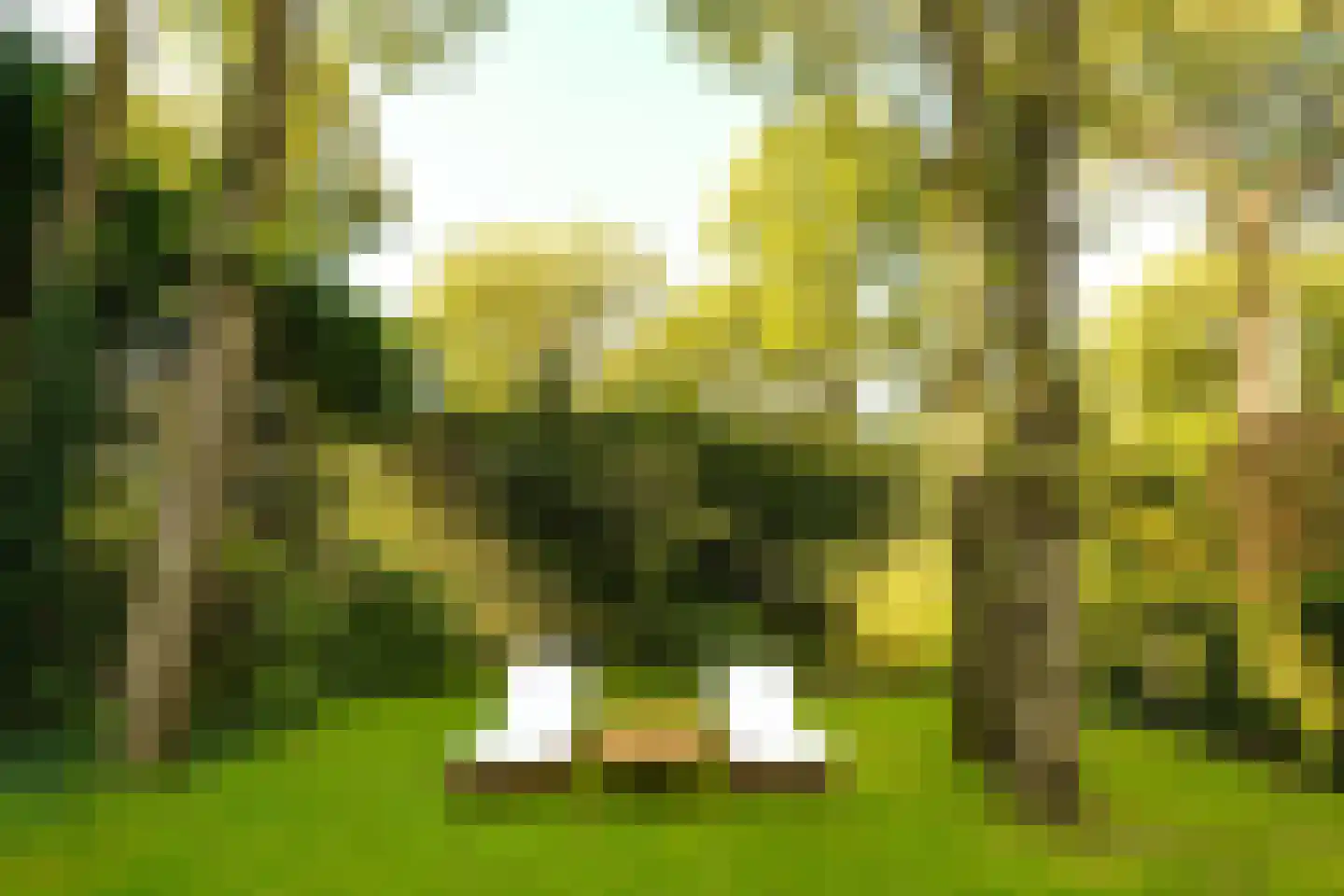 Schouwweg 86 Wassenaar thumbnail 21