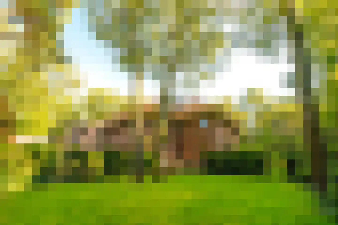 Schouwweg 86 Wassenaar thumbnail 22