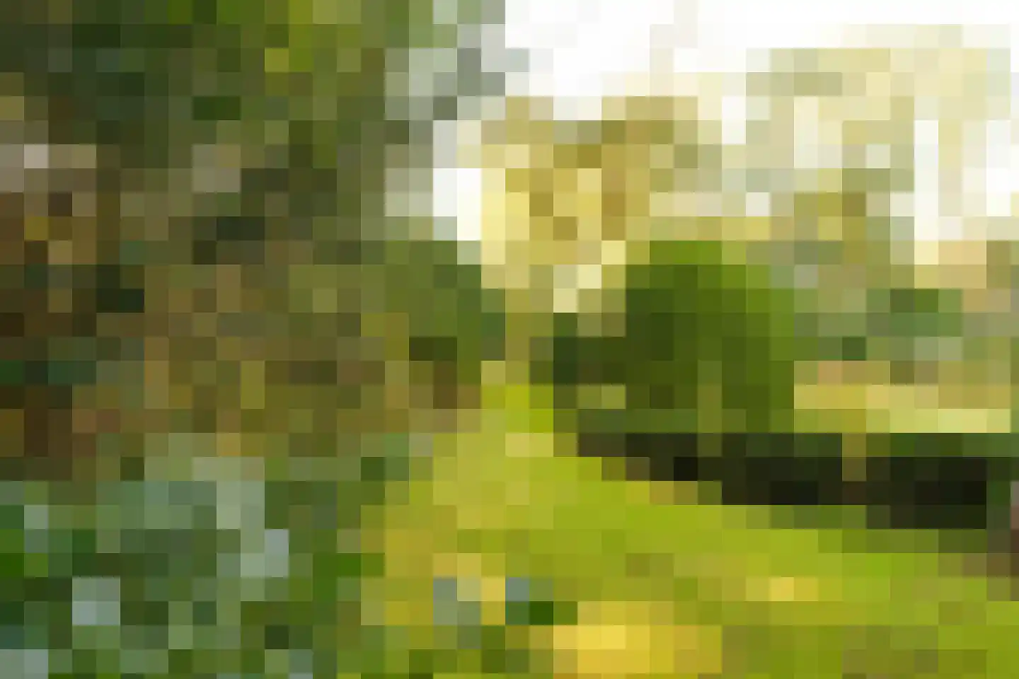 Schouwweg 86 Wassenaar thumbnail 23