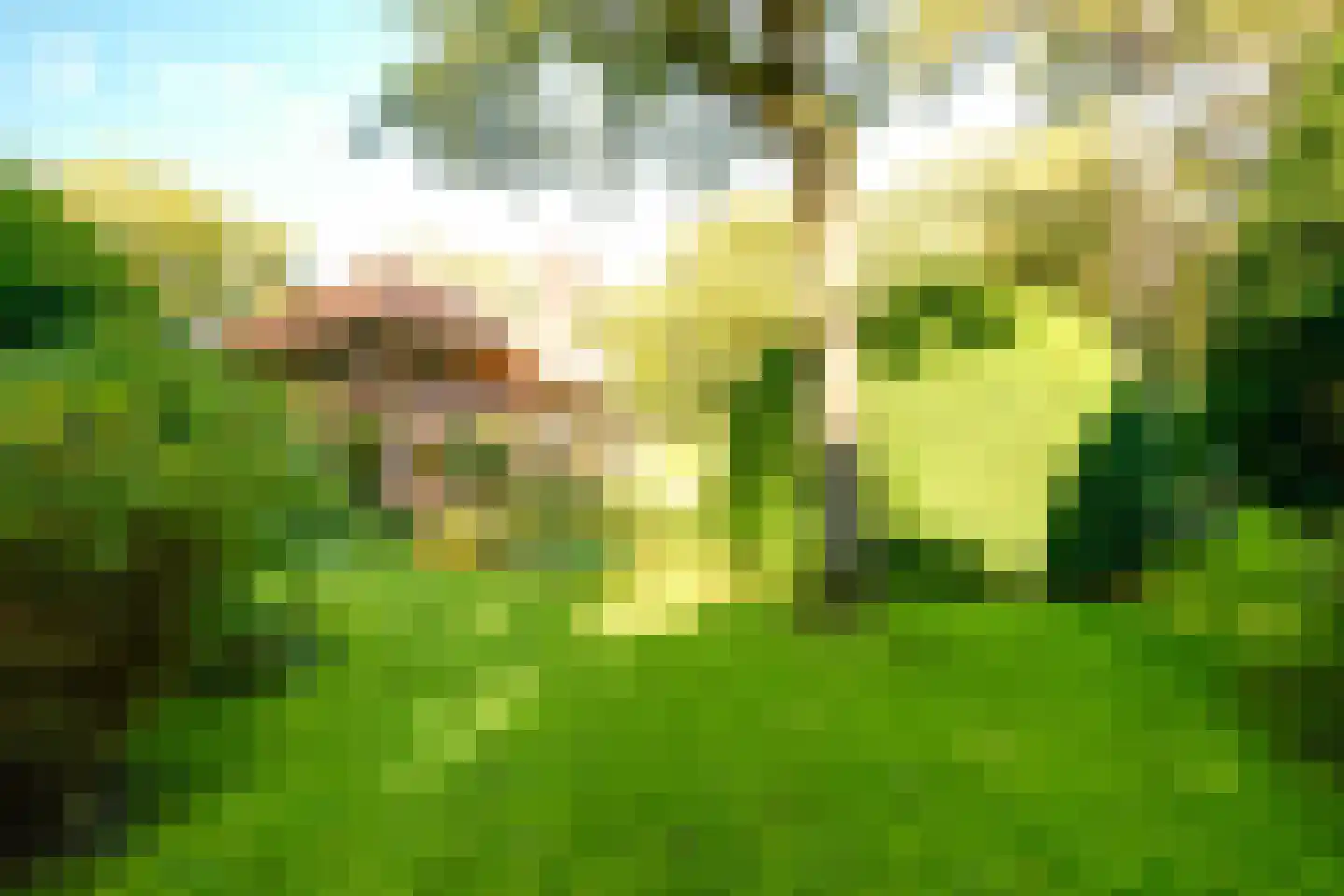 Schouwweg 86 Wassenaar thumbnail 24