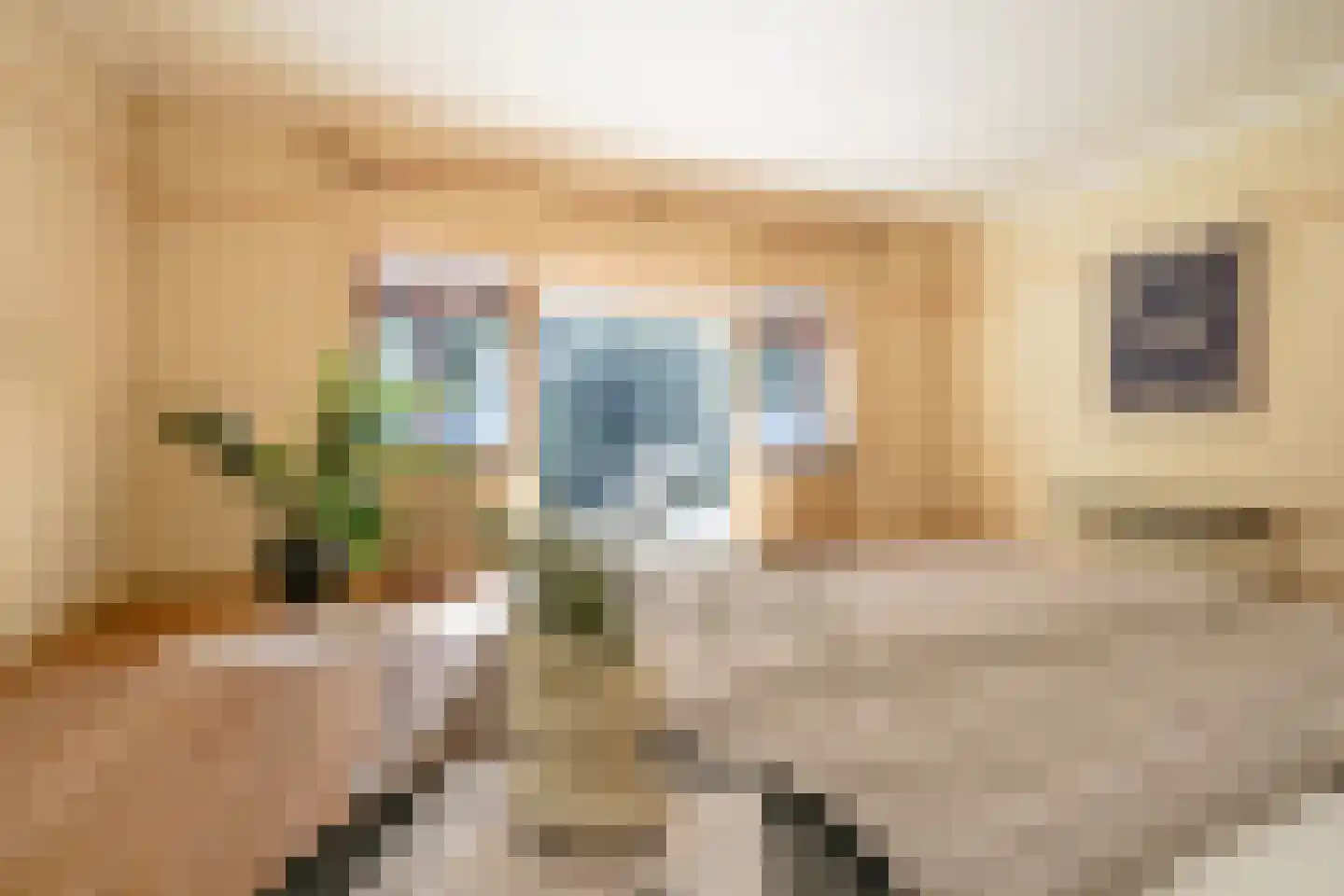 Schouwweg 86 Wassenaar thumbnail 30