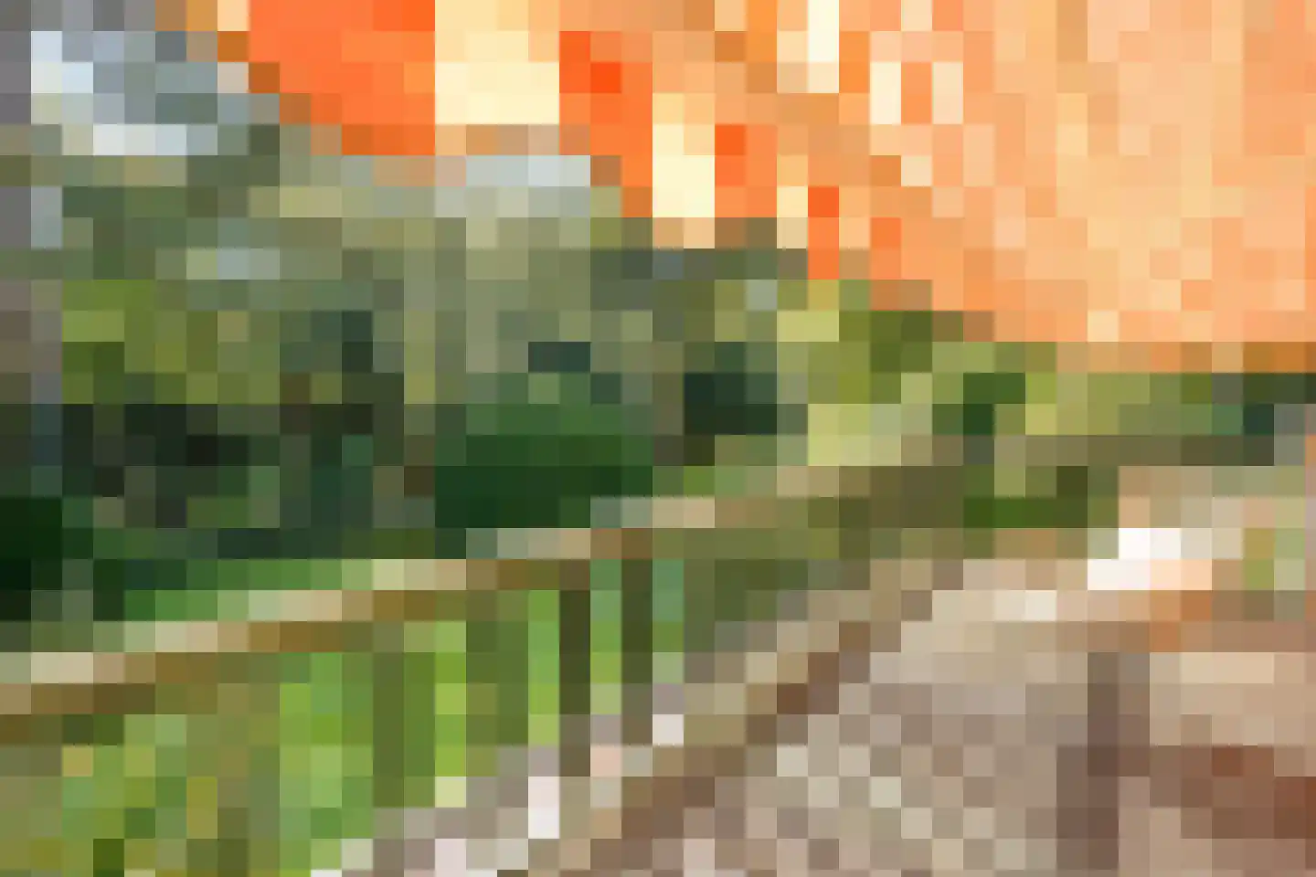 Schouwweg 86 Wassenaar thumbnail 32