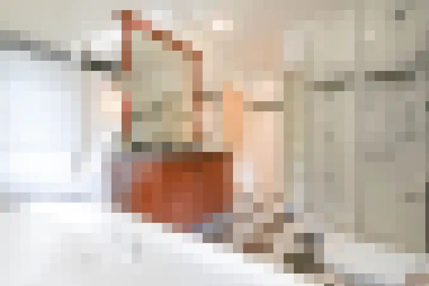 Schouwweg 86 Wassenaar thumbnail 39