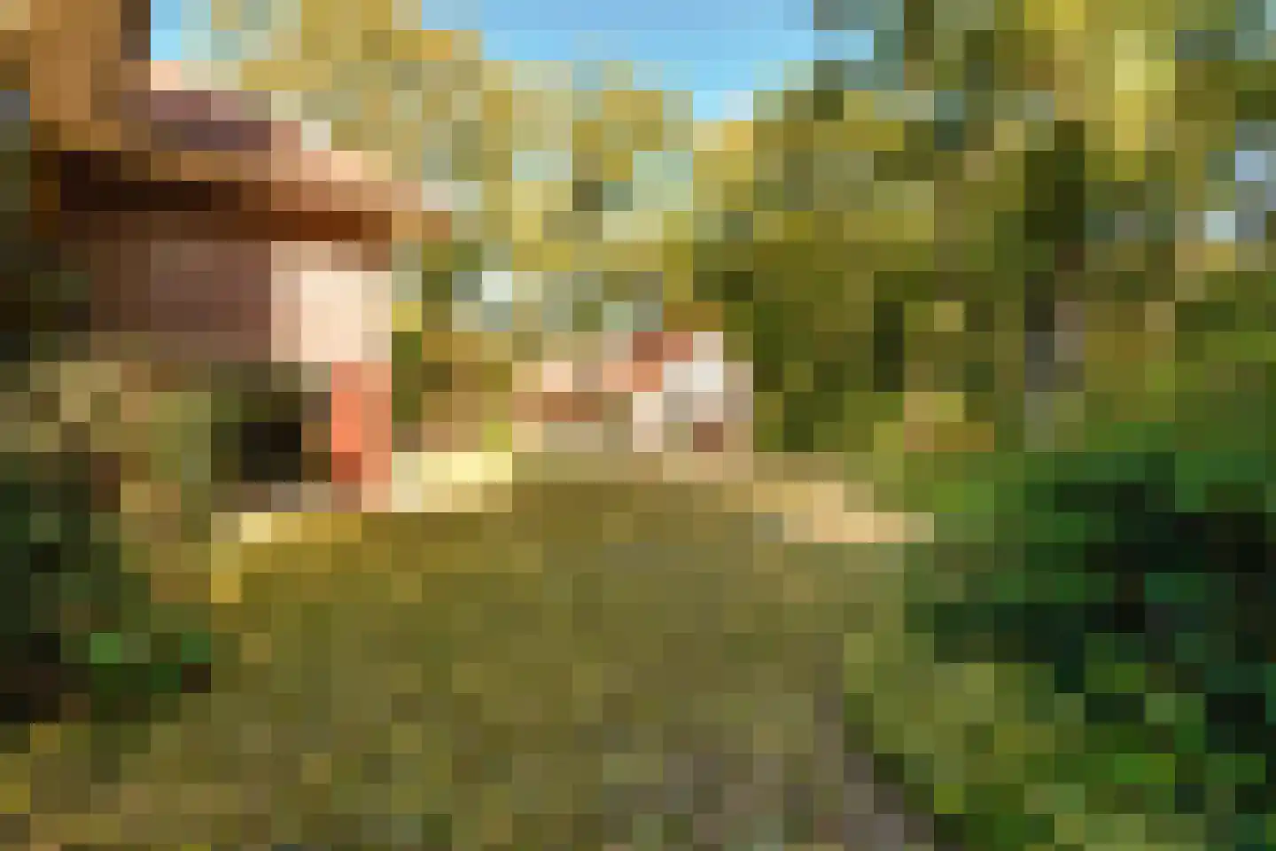 Schouwweg 86 Wassenaar thumbnail 69
