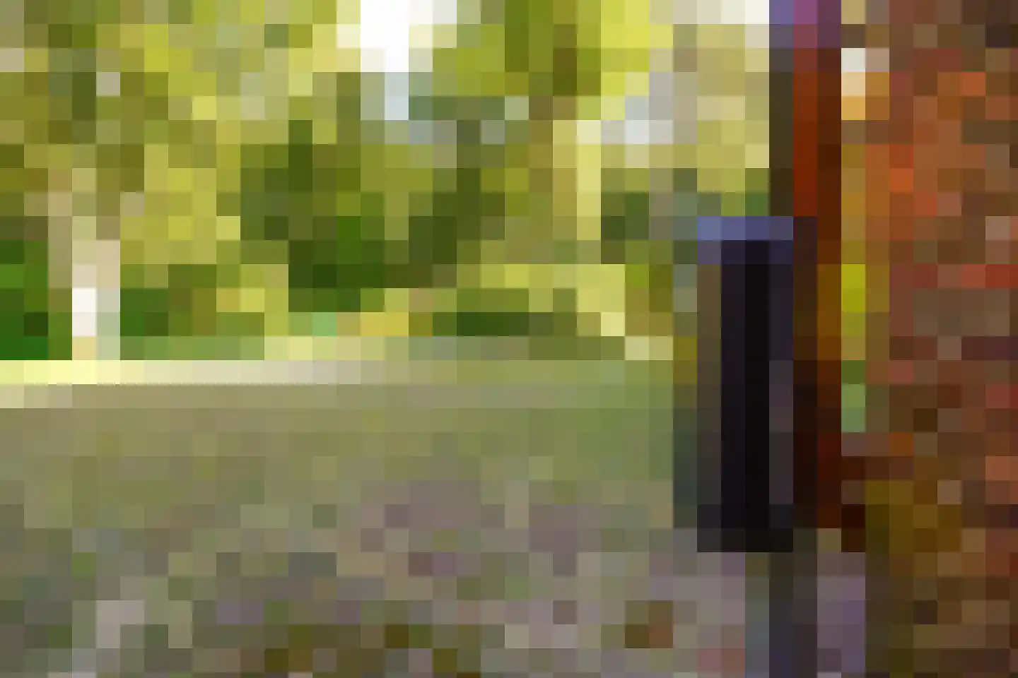 Schouwweg 86 Wassenaar thumbnail 70