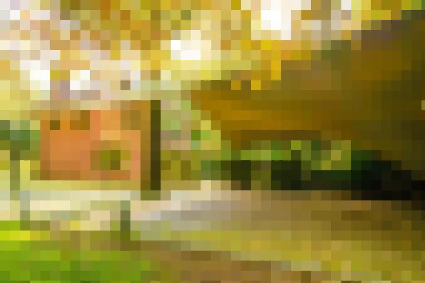 Schouwweg 86 Wassenaar thumbnail 72