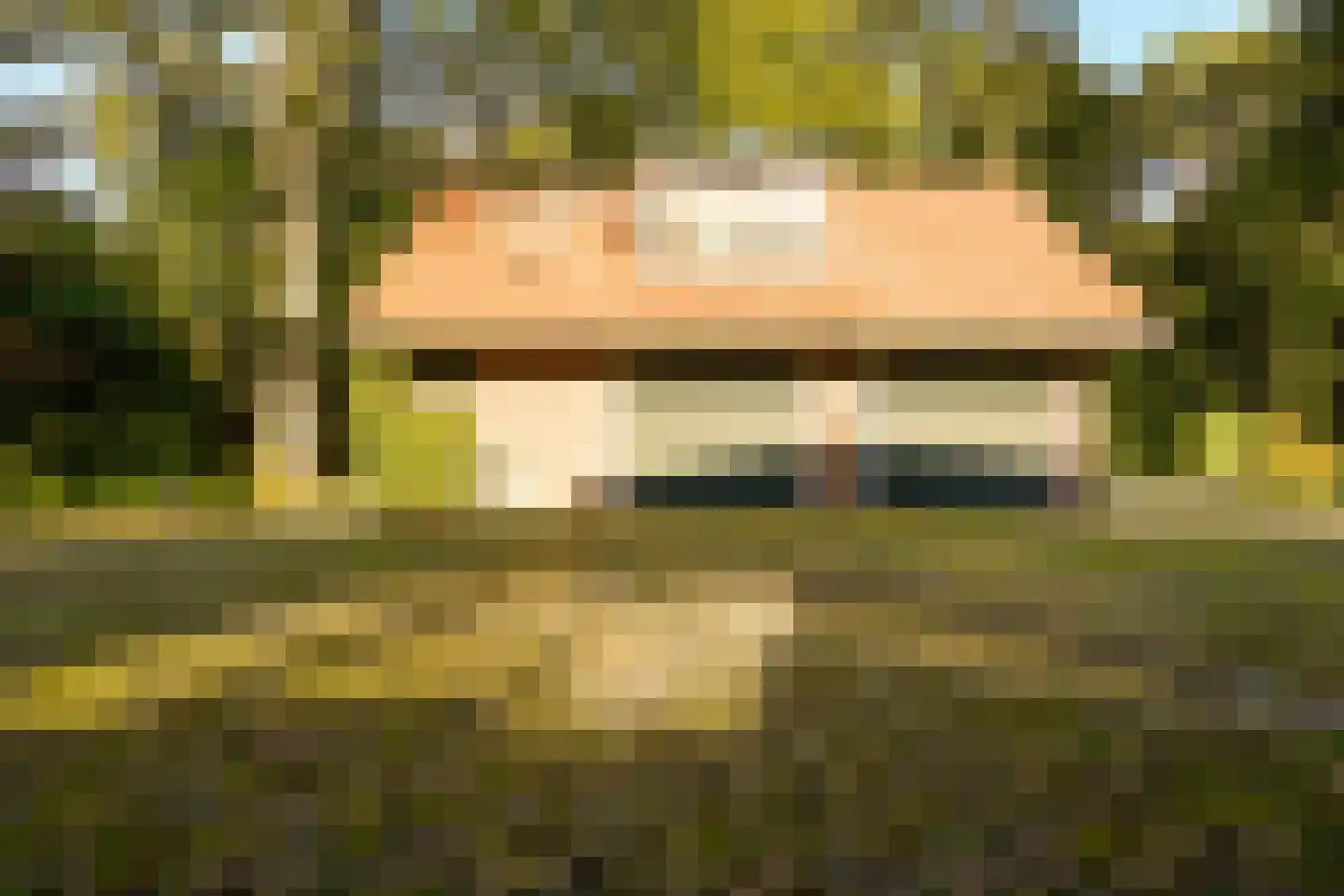 Schouwweg 86 Wassenaar thumbnail 74