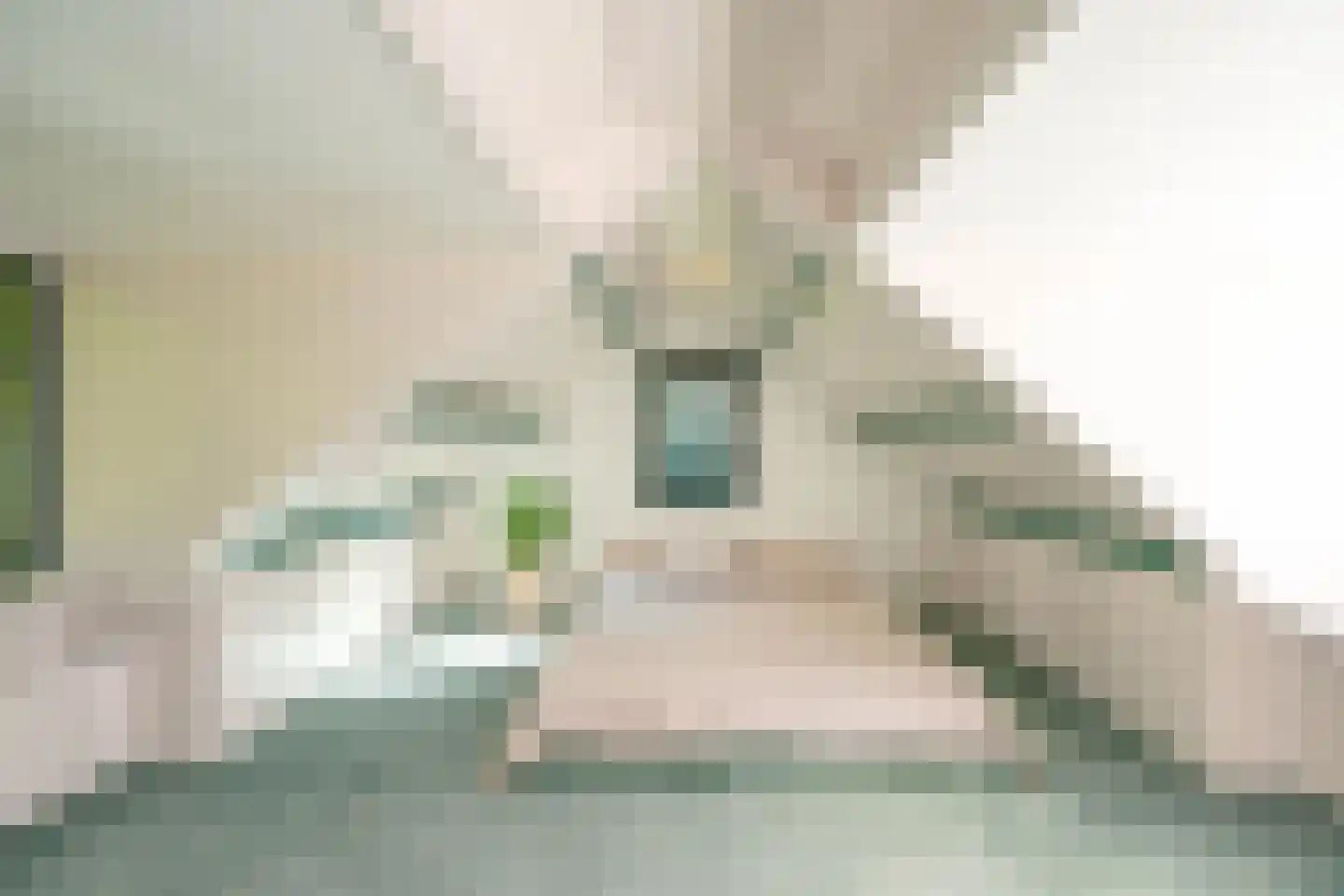 Schouwweg 86 Wassenaar thumbnail 75