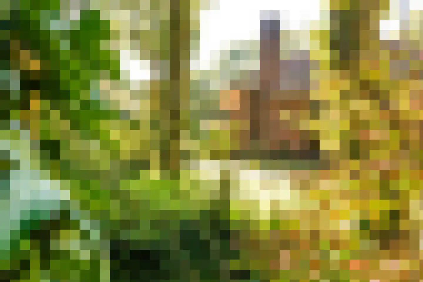 Schouwweg 86 Wassenaar thumbnail 76