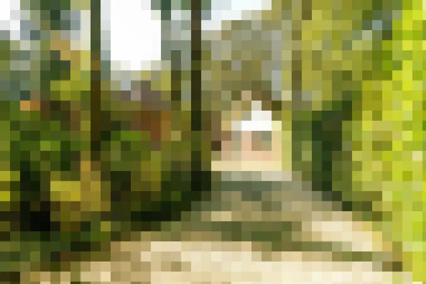 Schouwweg 86 Wassenaar thumbnail 77