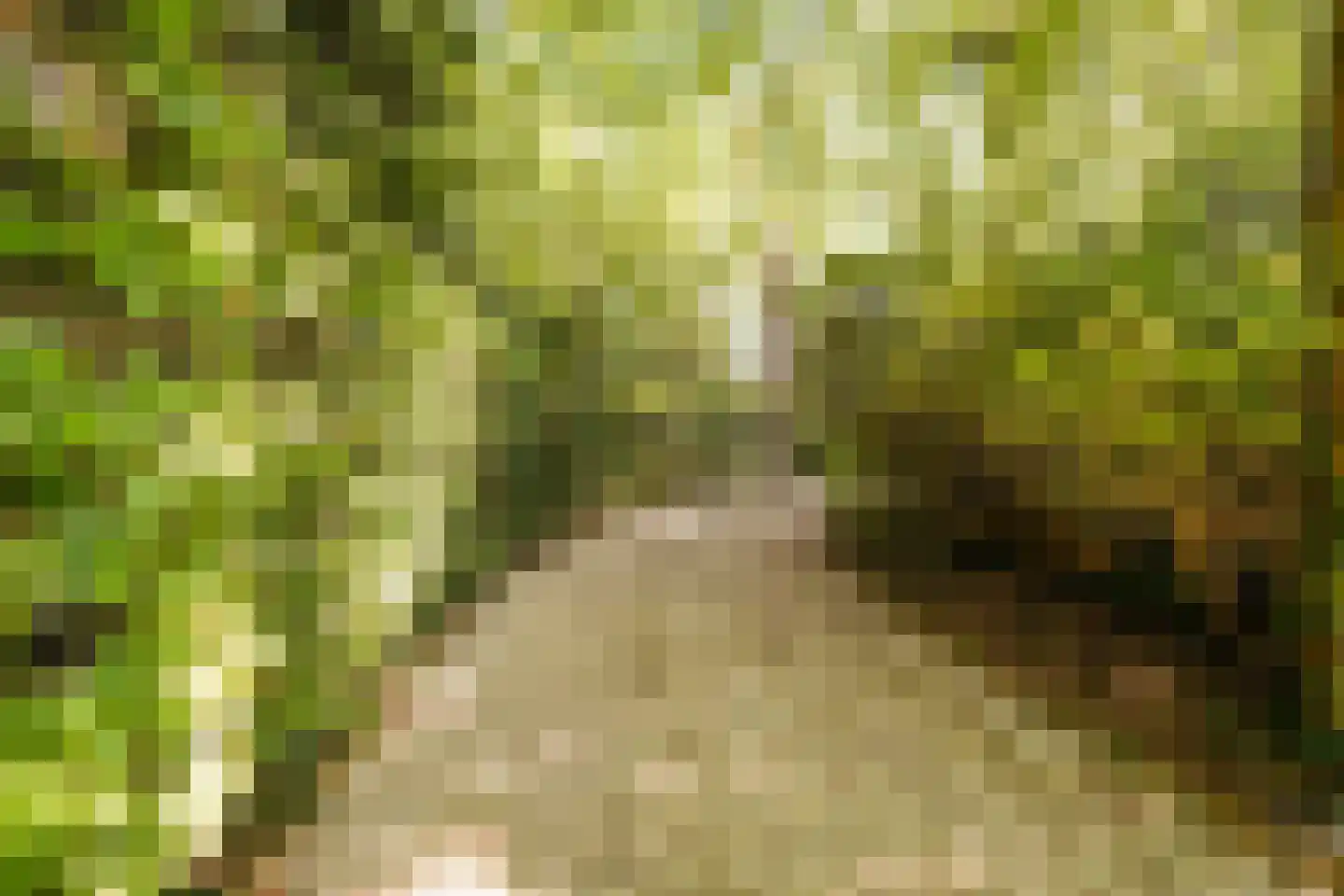 Schouwweg 86 Wassenaar thumbnail 78