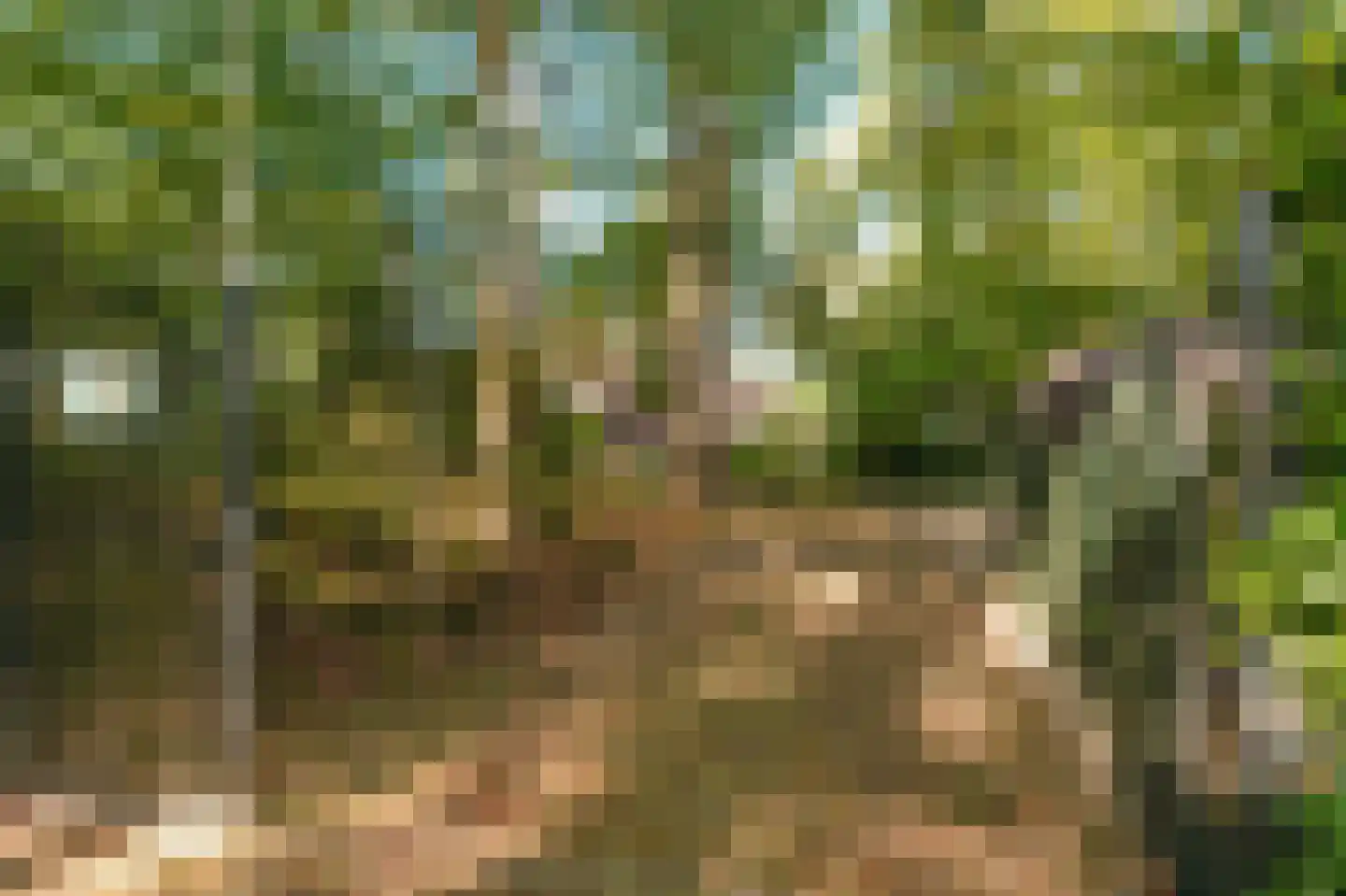 Schouwweg 86 Wassenaar thumbnail 79