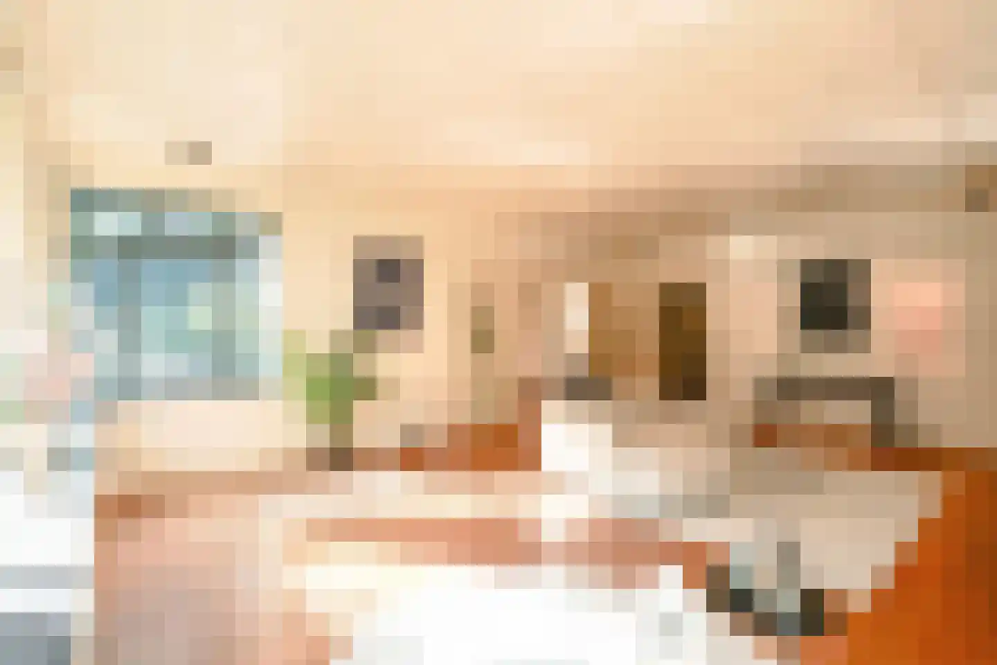 Schouwweg 86 Wassenaar thumbnail 8