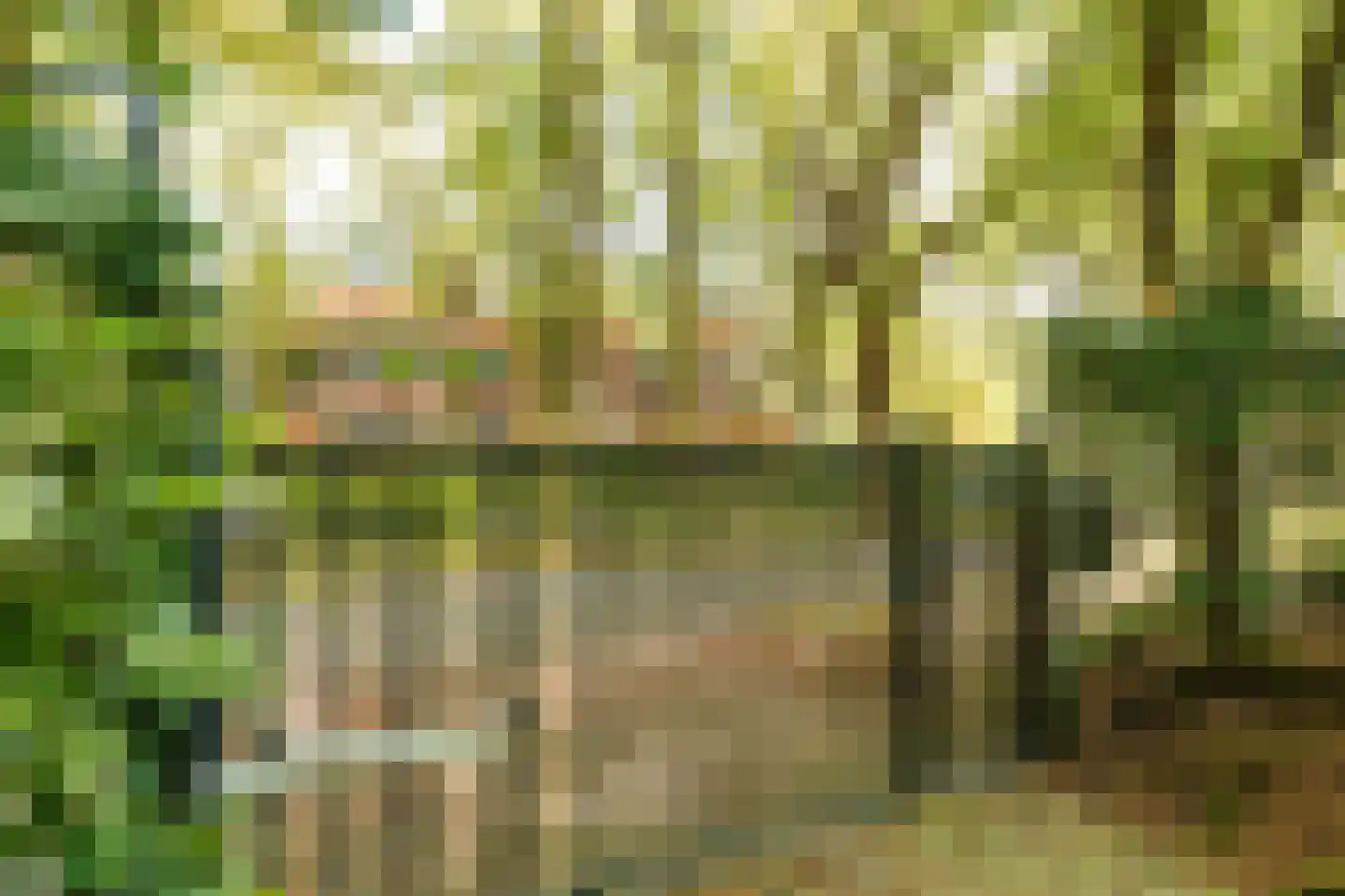 Schouwweg 86 Wassenaar thumbnail 80