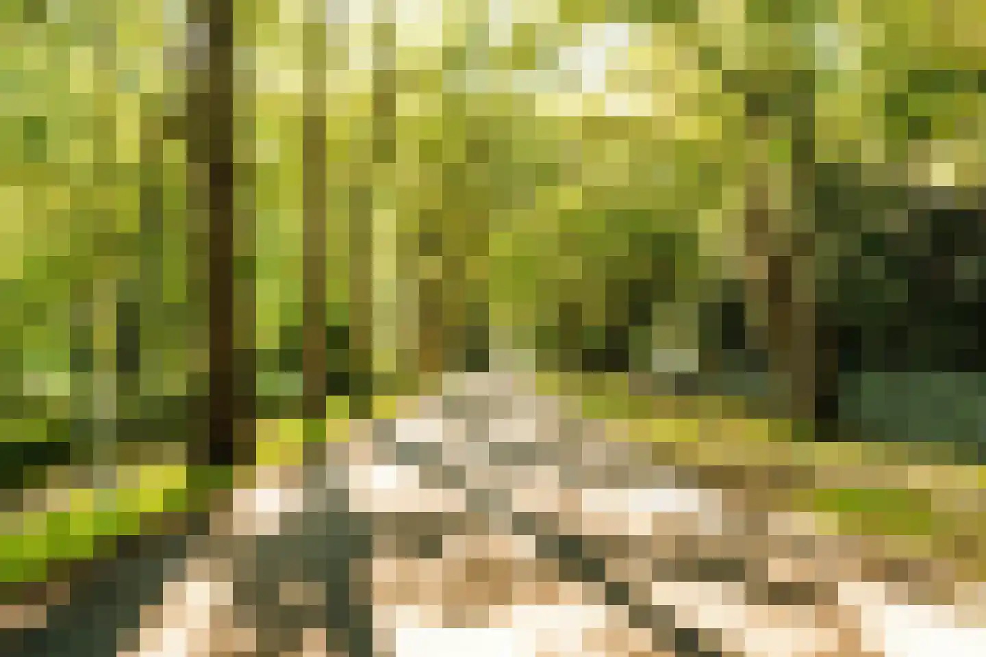 Schouwweg 86 Wassenaar thumbnail 81