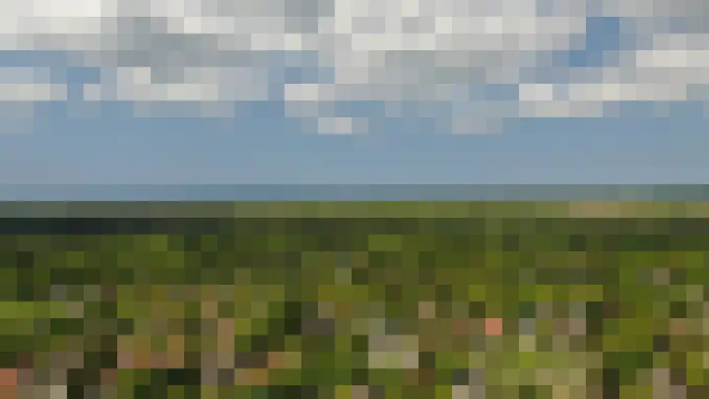 Schouwweg 86 Wassenaar thumbnail 83