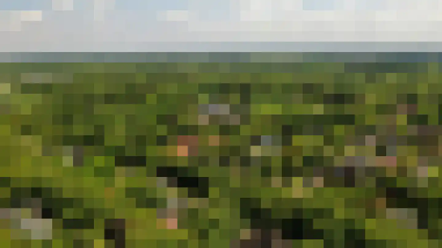 Schouwweg 86 Wassenaar thumbnail 84