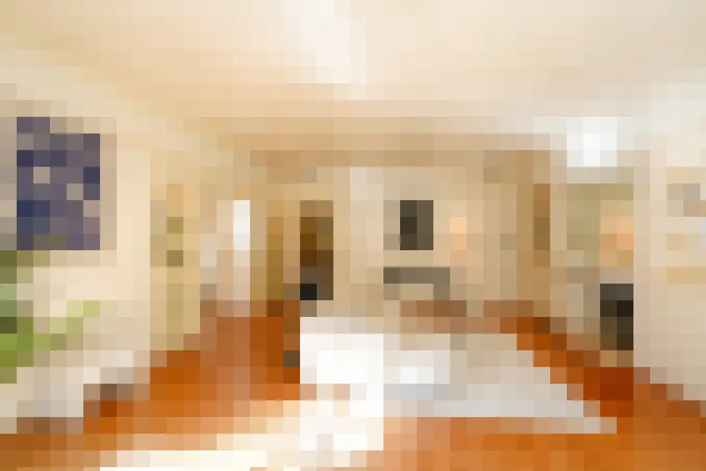 Schouwweg 86 Wassenaar thumbnail 9