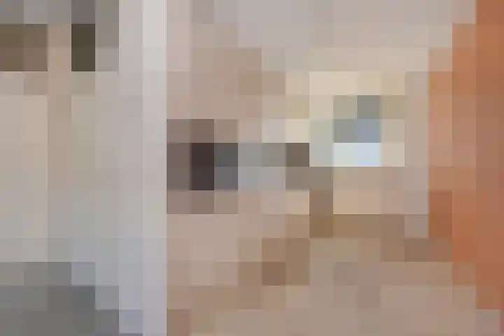 Schouwwerf 18 Gouda thumbnail 11