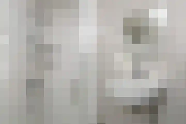 Schouwwerf 18 Gouda thumbnail 18