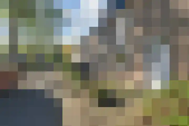 Schouwwerf 18 Gouda thumbnail 6