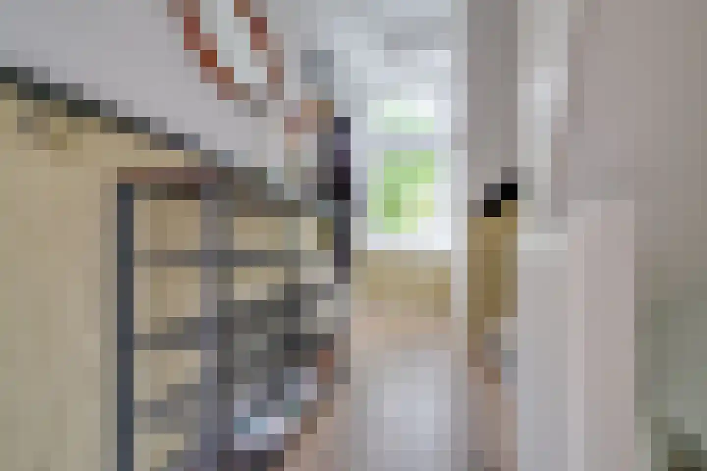 Schouwweteringstraat 6 BSA Utrecht thumbnail 6