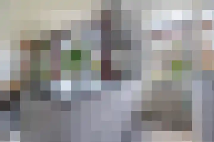 Schouwweteringstraat 8 BS Utrecht thumbnail 20