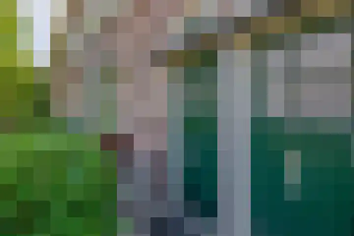Schouwweteringstraat 8 BS Utrecht thumbnail 7