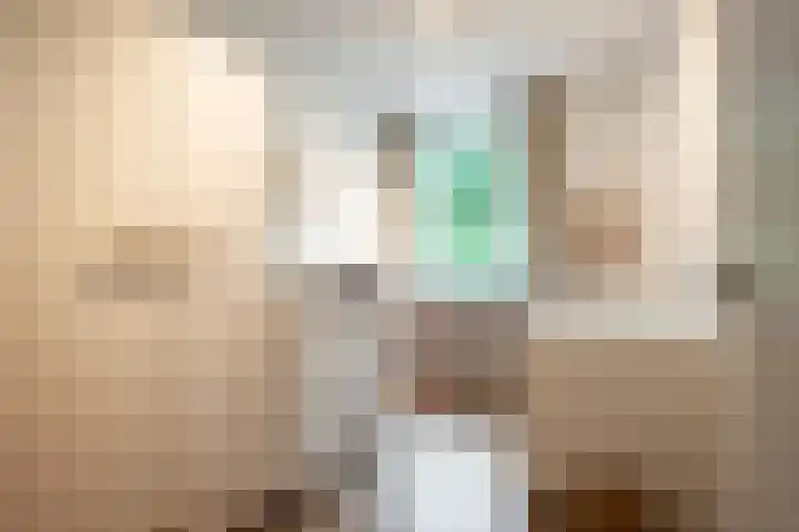 Schovenhof 10 Heerlen thumbnail 12