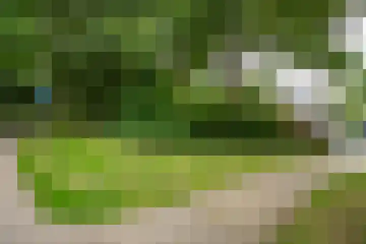 Schovenhof 10 Heerlen thumbnail 21