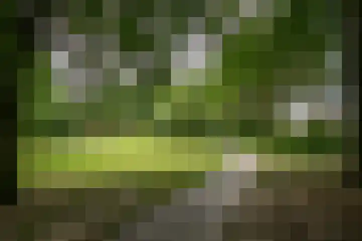 Schovenhof 10 Heerlen thumbnail 23