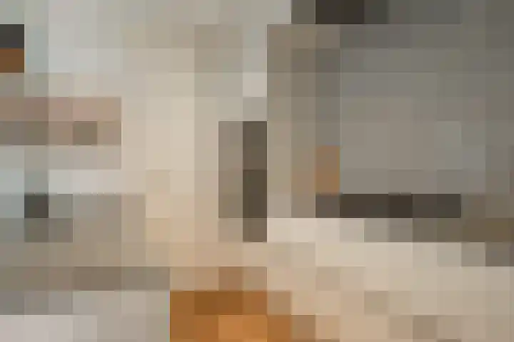 Schovenhof 10 Heerlen thumbnail 8