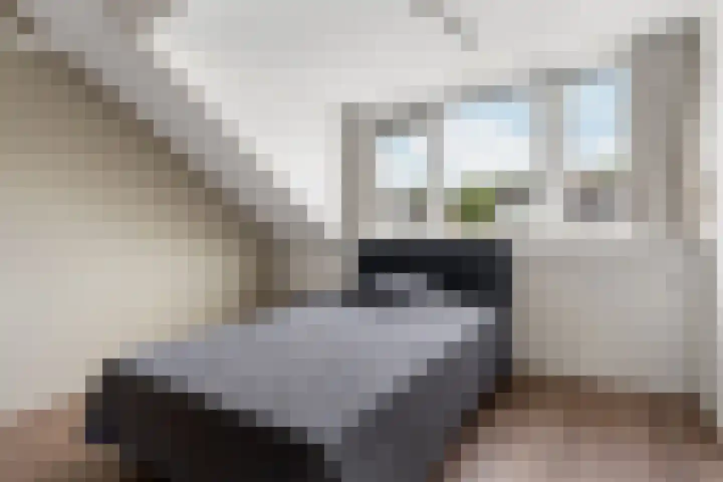 Schovenhorststraat 11 Almere thumbnail 22