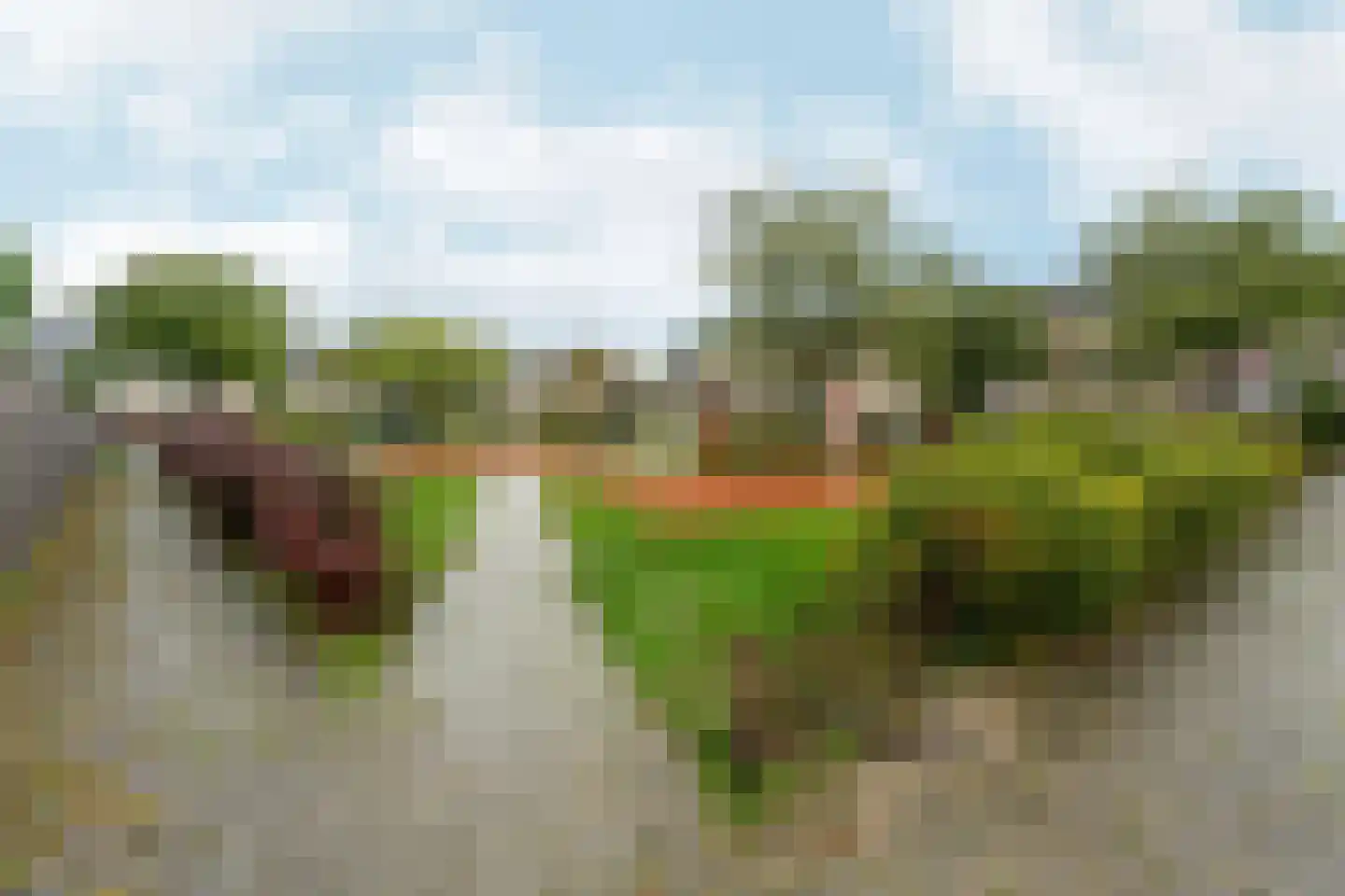 Schovenhorststraat 11 Almere thumbnail 42