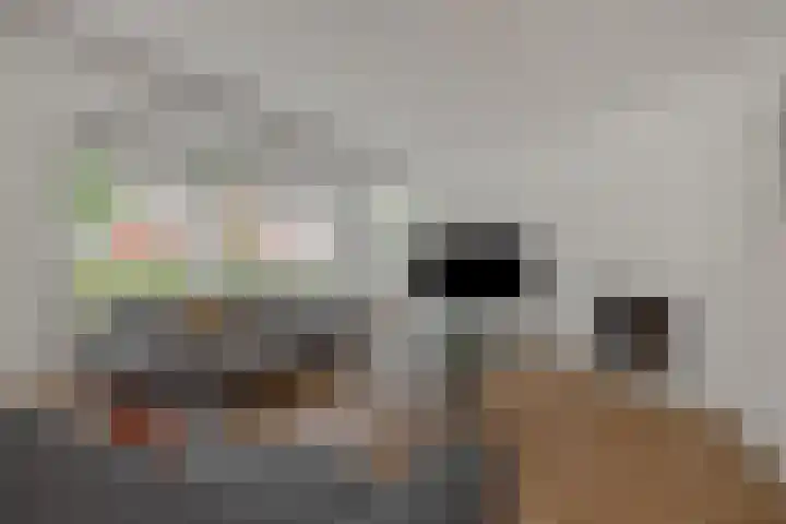 Schovenhorstweide 25 Helmond thumbnail 12
